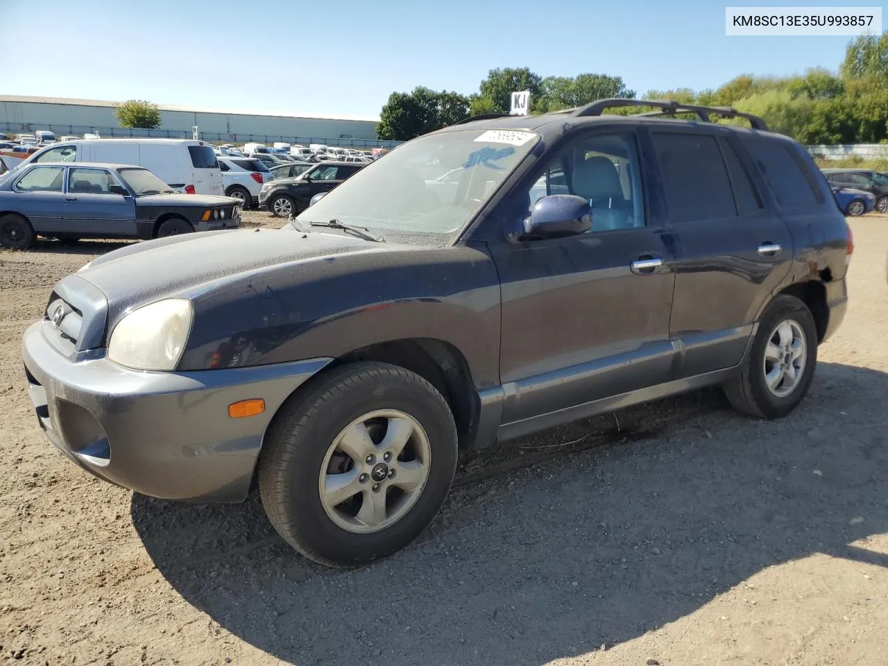 2005 Hyundai Santa Fe Gls VIN: KM8SC13E35U993857 Lot: 70689634