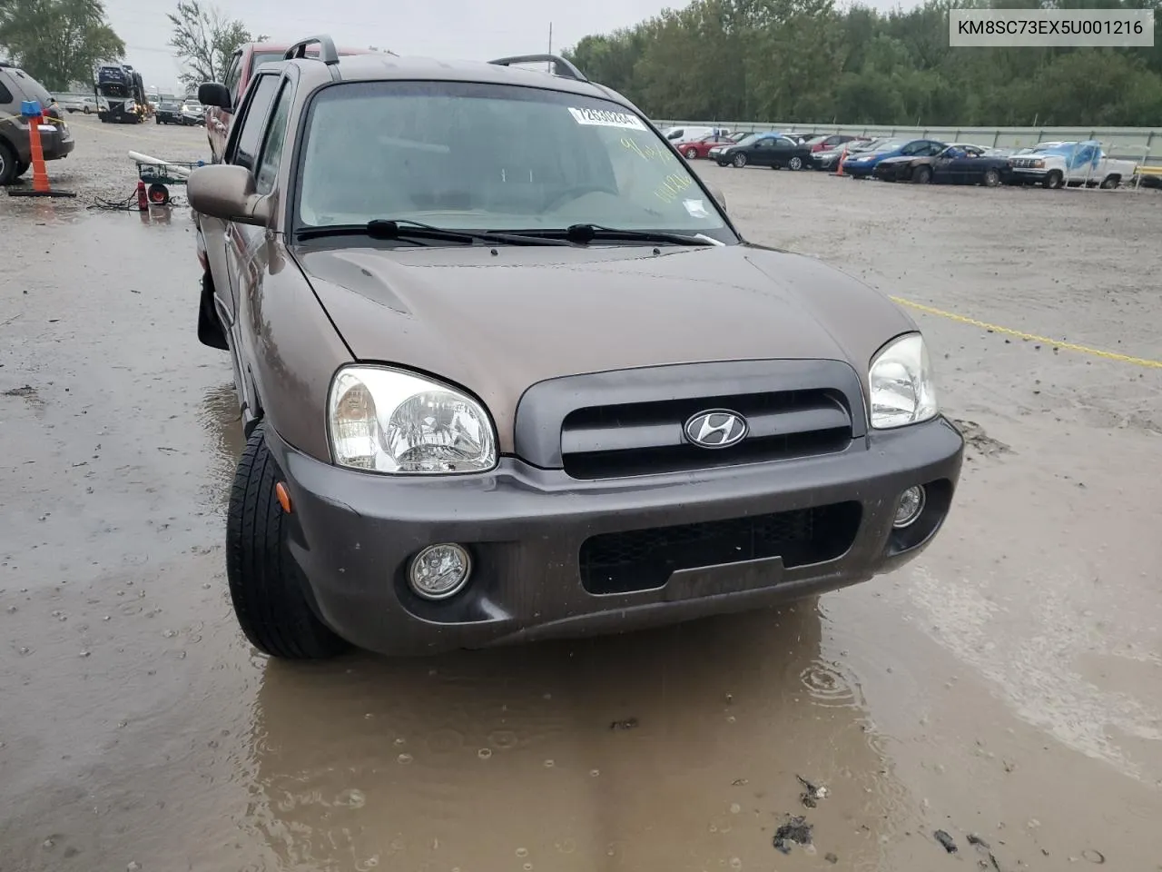 KM8SC73EX5U001216 2005 Hyundai Santa Fe Gls