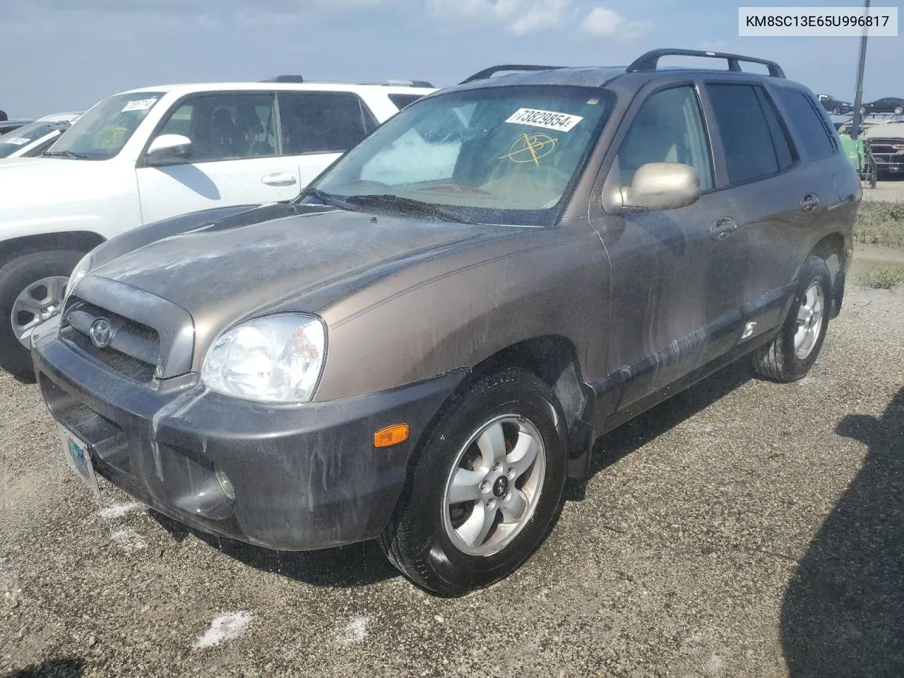 2005 Hyundai Santa Fe Gls VIN: KM8SC13E65U996817 Lot: 73829854