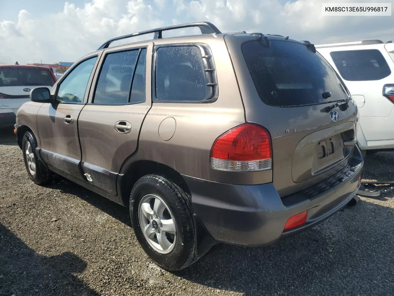 2005 Hyundai Santa Fe Gls VIN: KM8SC13E65U996817 Lot: 73829854