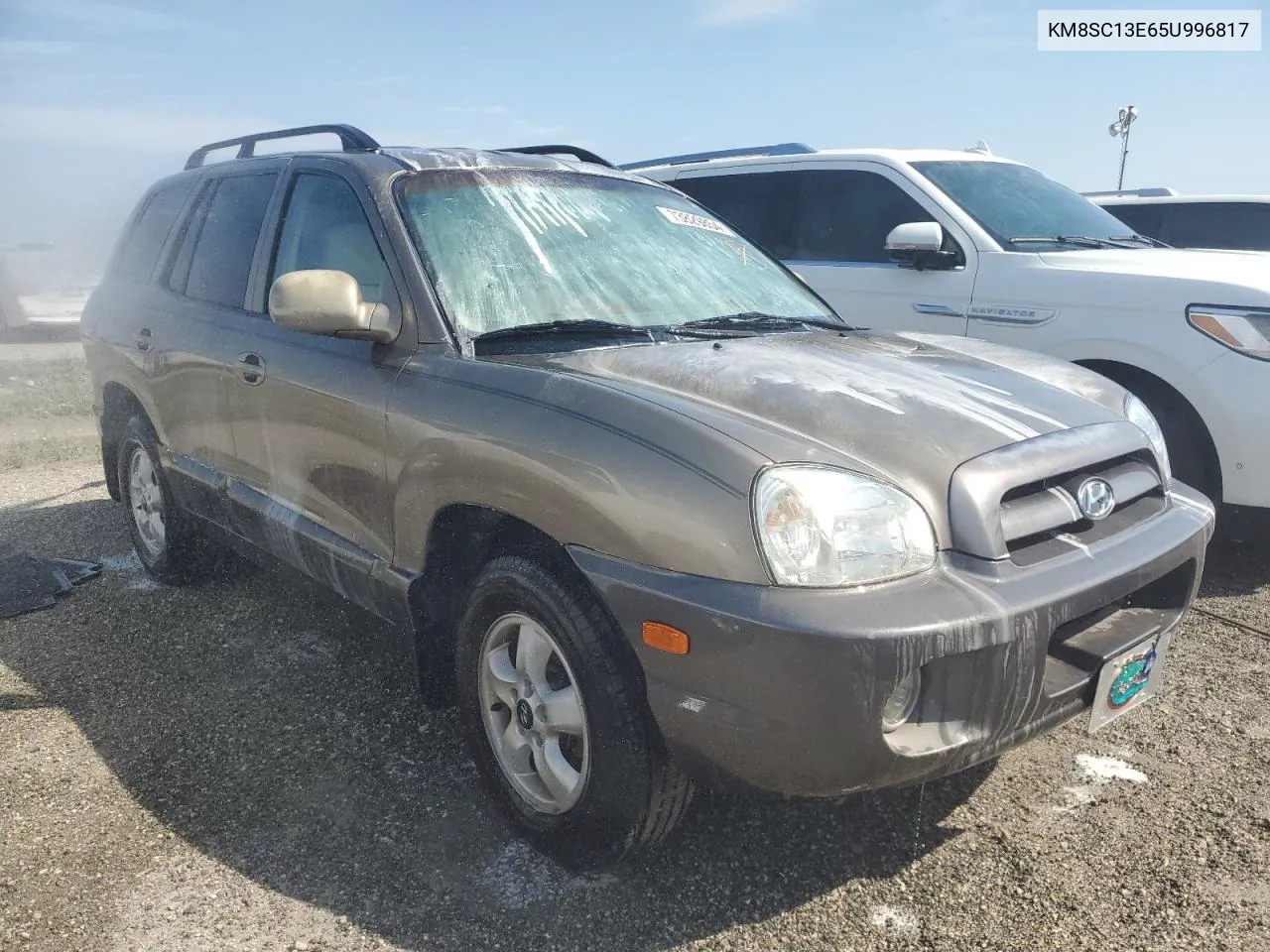 2005 Hyundai Santa Fe Gls VIN: KM8SC13E65U996817 Lot: 73829854