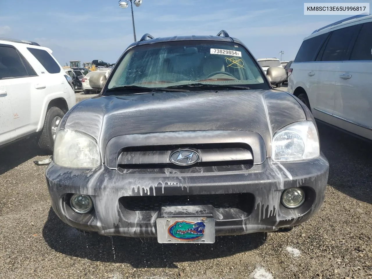 2005 Hyundai Santa Fe Gls VIN: KM8SC13E65U996817 Lot: 73829854