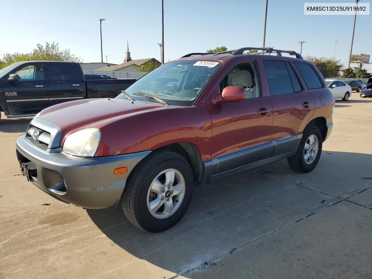 2005 Hyundai Santa Fe Gls VIN: KM8SC13D25U919692 Lot: 76765954