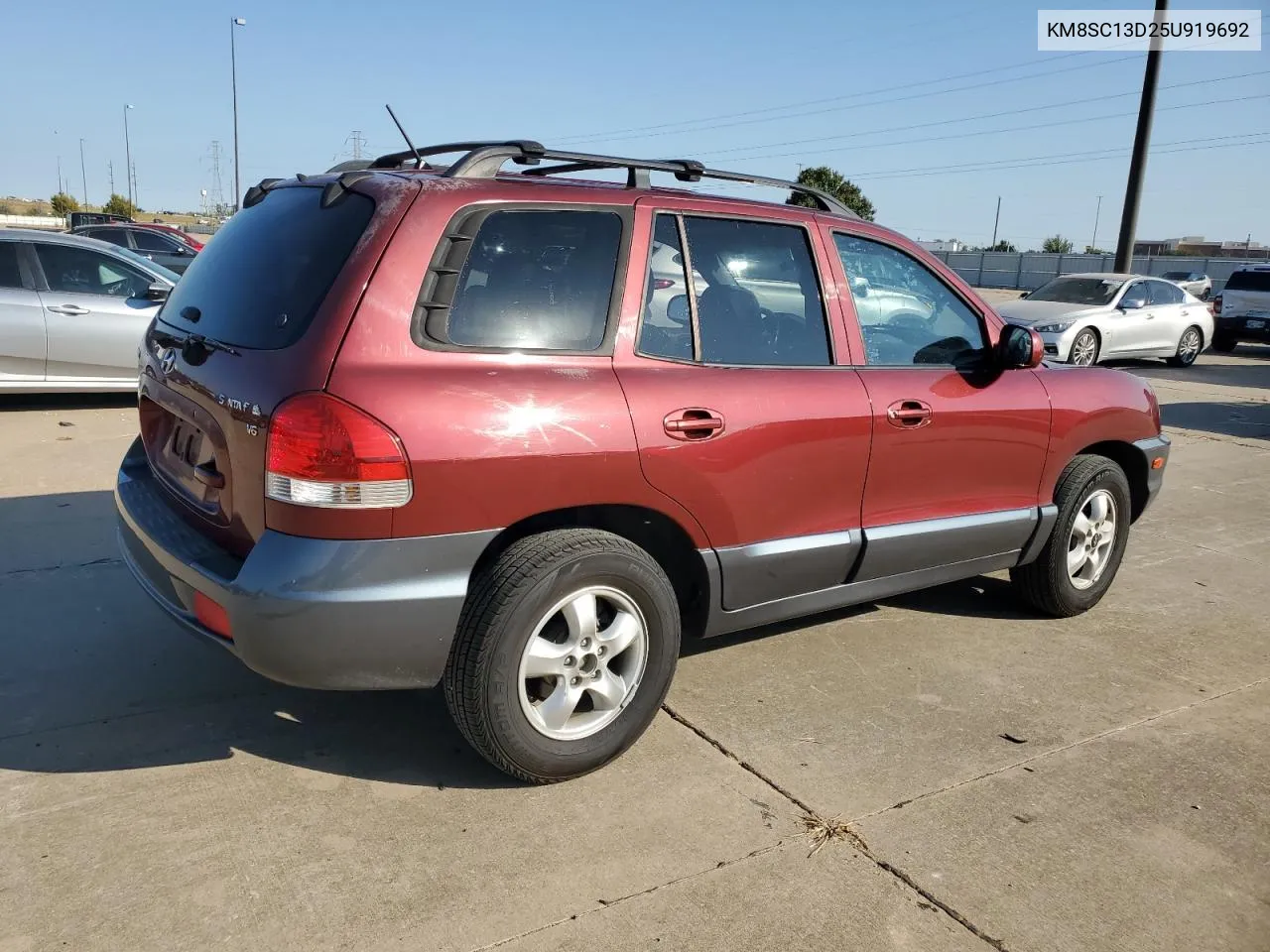 KM8SC13D25U919692 2005 Hyundai Santa Fe Gls