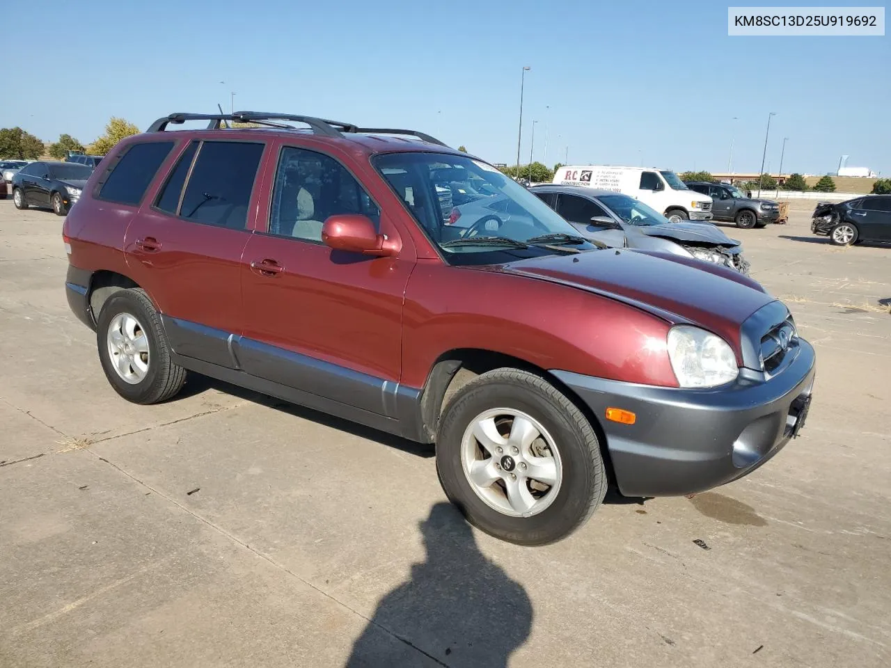 2005 Hyundai Santa Fe Gls VIN: KM8SC13D25U919692 Lot: 76765954