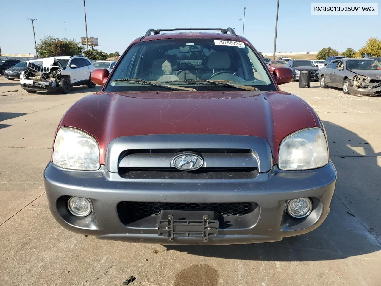 KM8SC13D25U919692 2005 Hyundai Santa Fe Gls