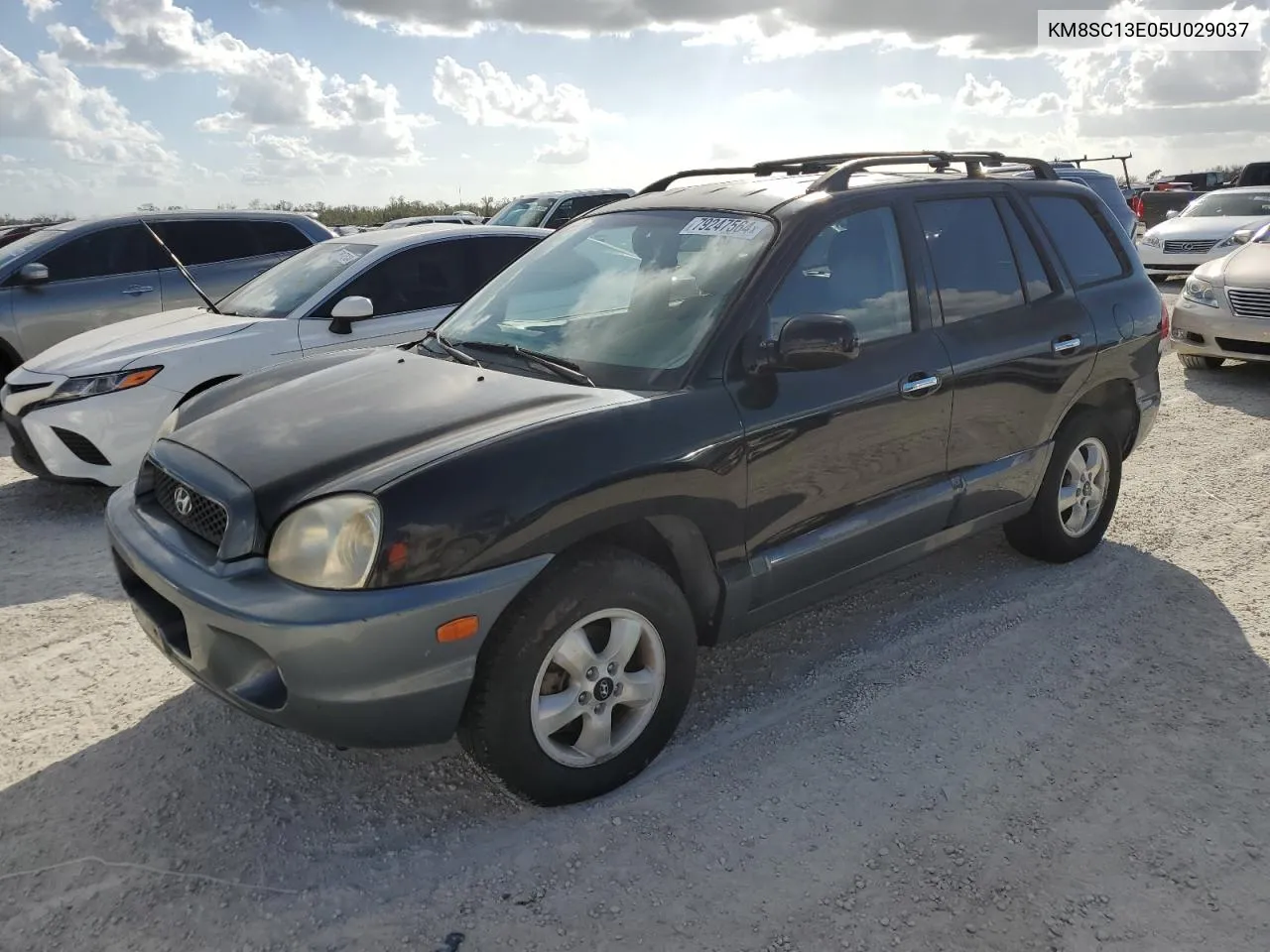 2005 Hyundai Santa Fe Gls VIN: KM8SC13E05U029037 Lot: 79247564