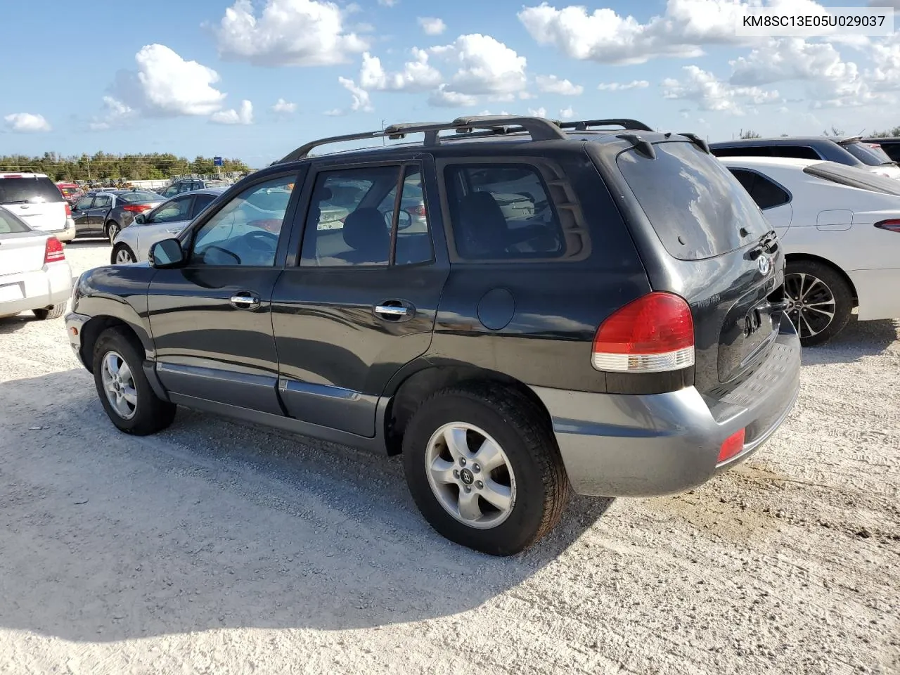 2005 Hyundai Santa Fe Gls VIN: KM8SC13E05U029037 Lot: 79247564