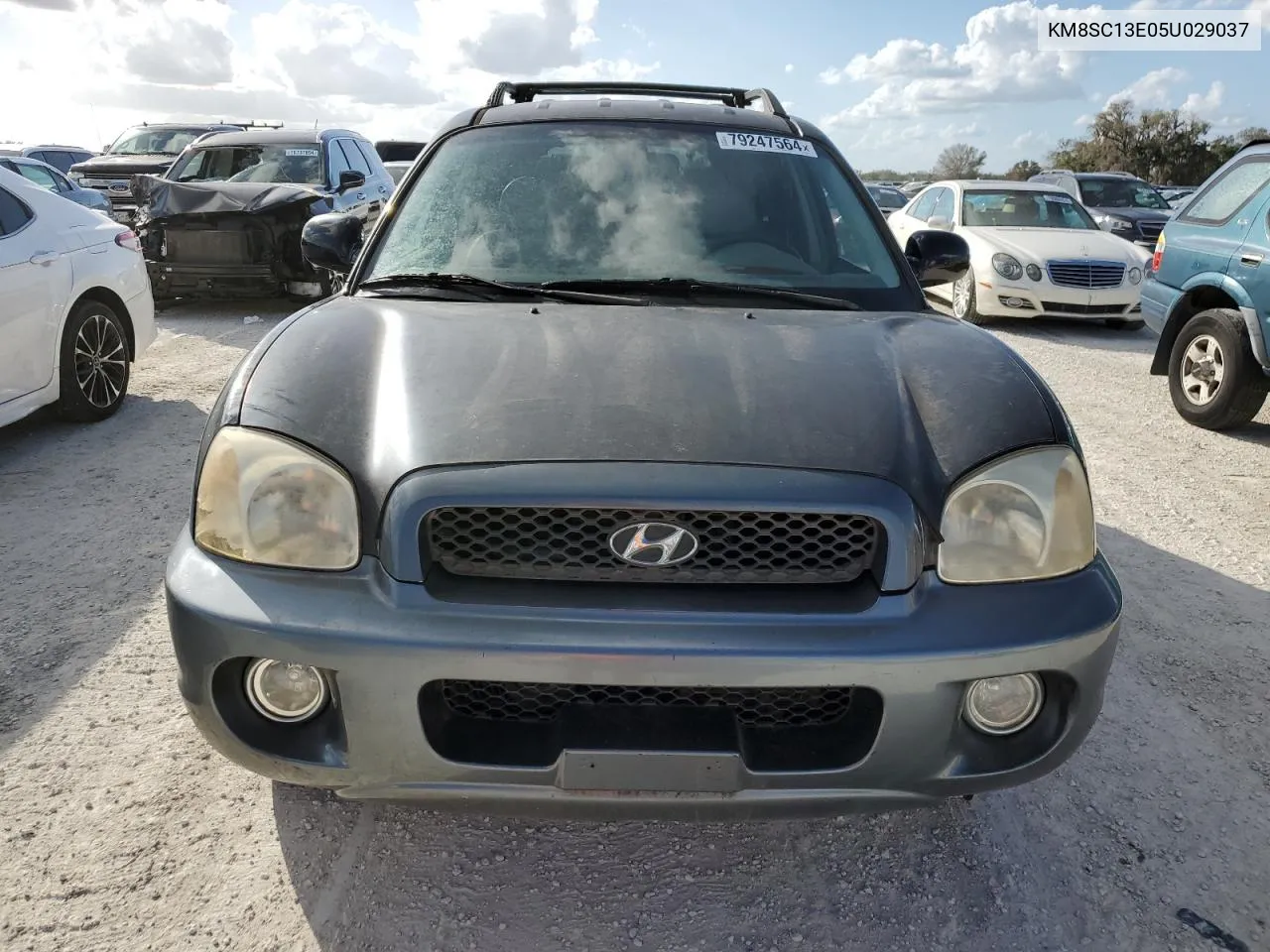 2005 Hyundai Santa Fe Gls VIN: KM8SC13E05U029037 Lot: 79247564