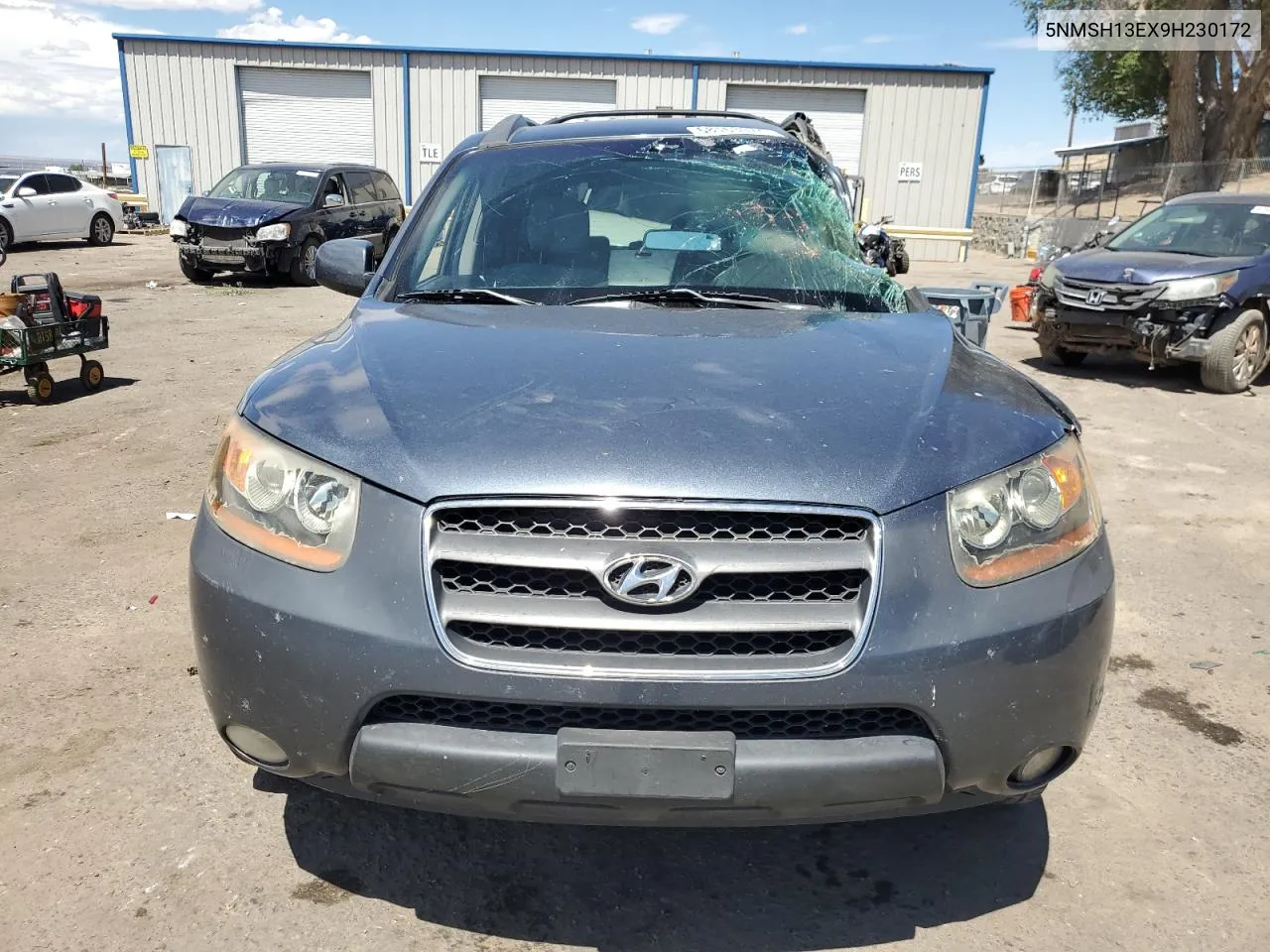 2009 Hyundai Santa Fe Se VIN: 5NMSH13EX9H230172 Lot: 68163974