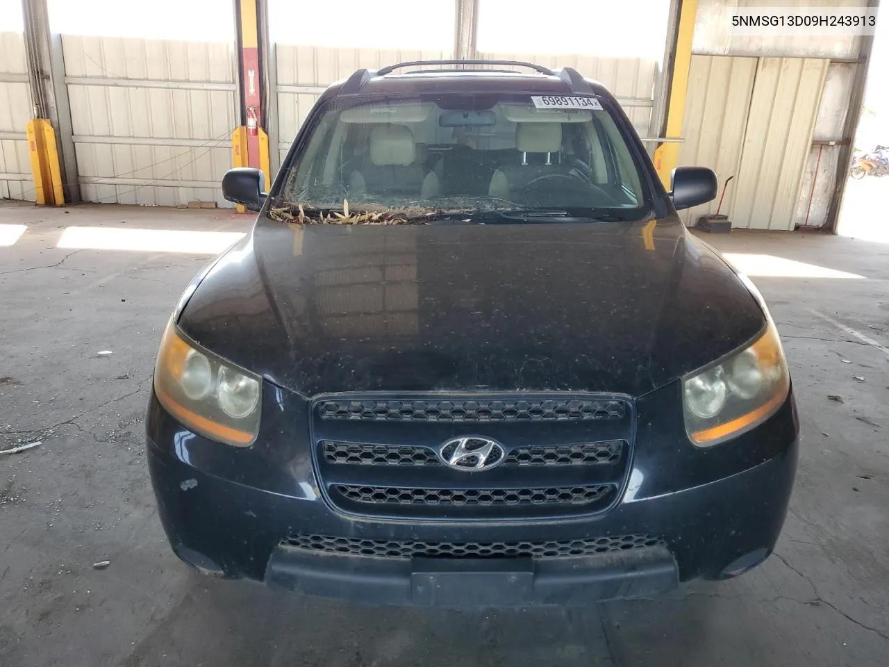 2009 Hyundai Santa Fe Gls VIN: 5NMSG13D09H243913 Lot: 69891134