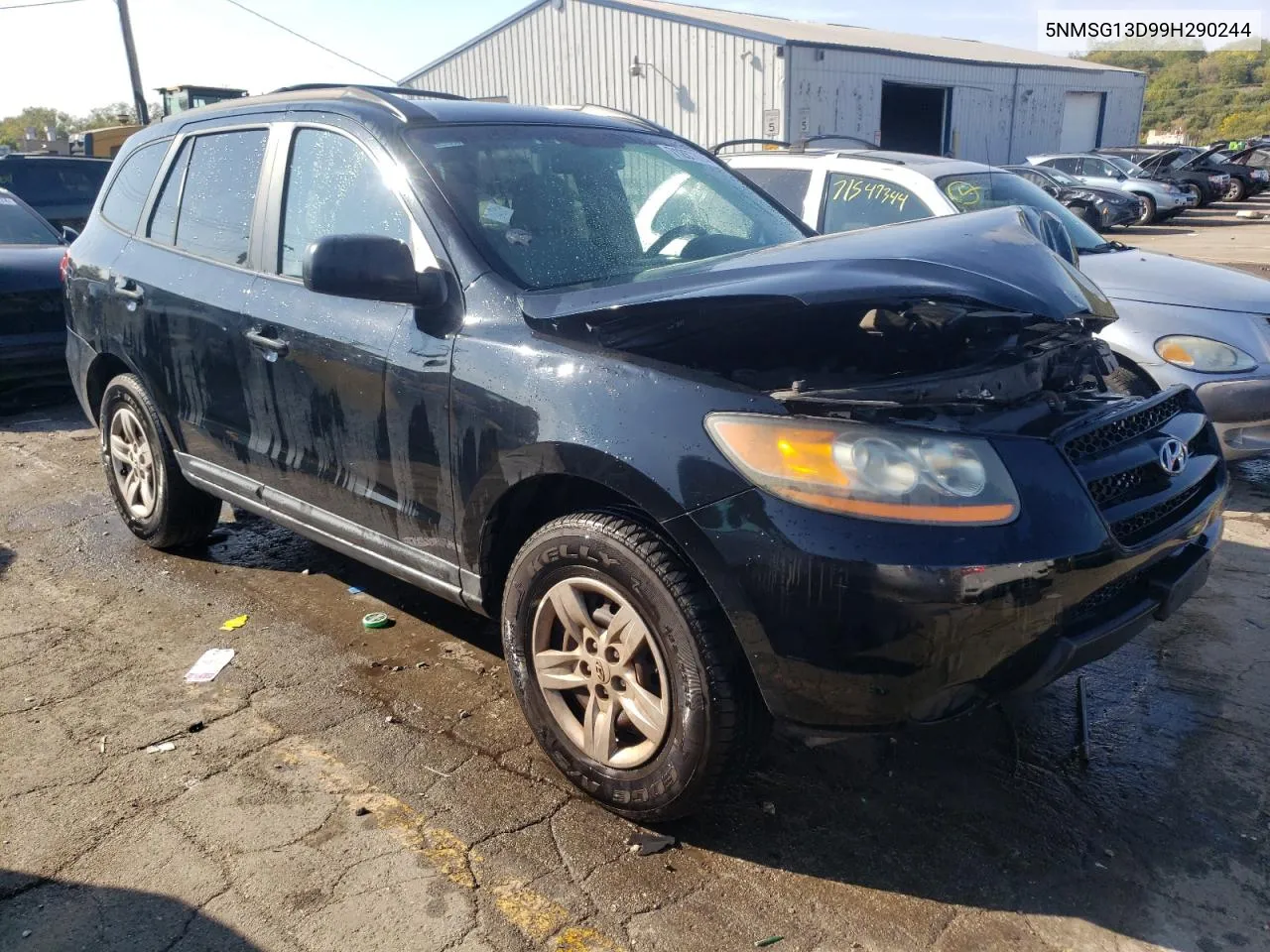 2009 Hyundai Santa Fe Gls VIN: 5NMSG13D99H290244 Lot: 71287874