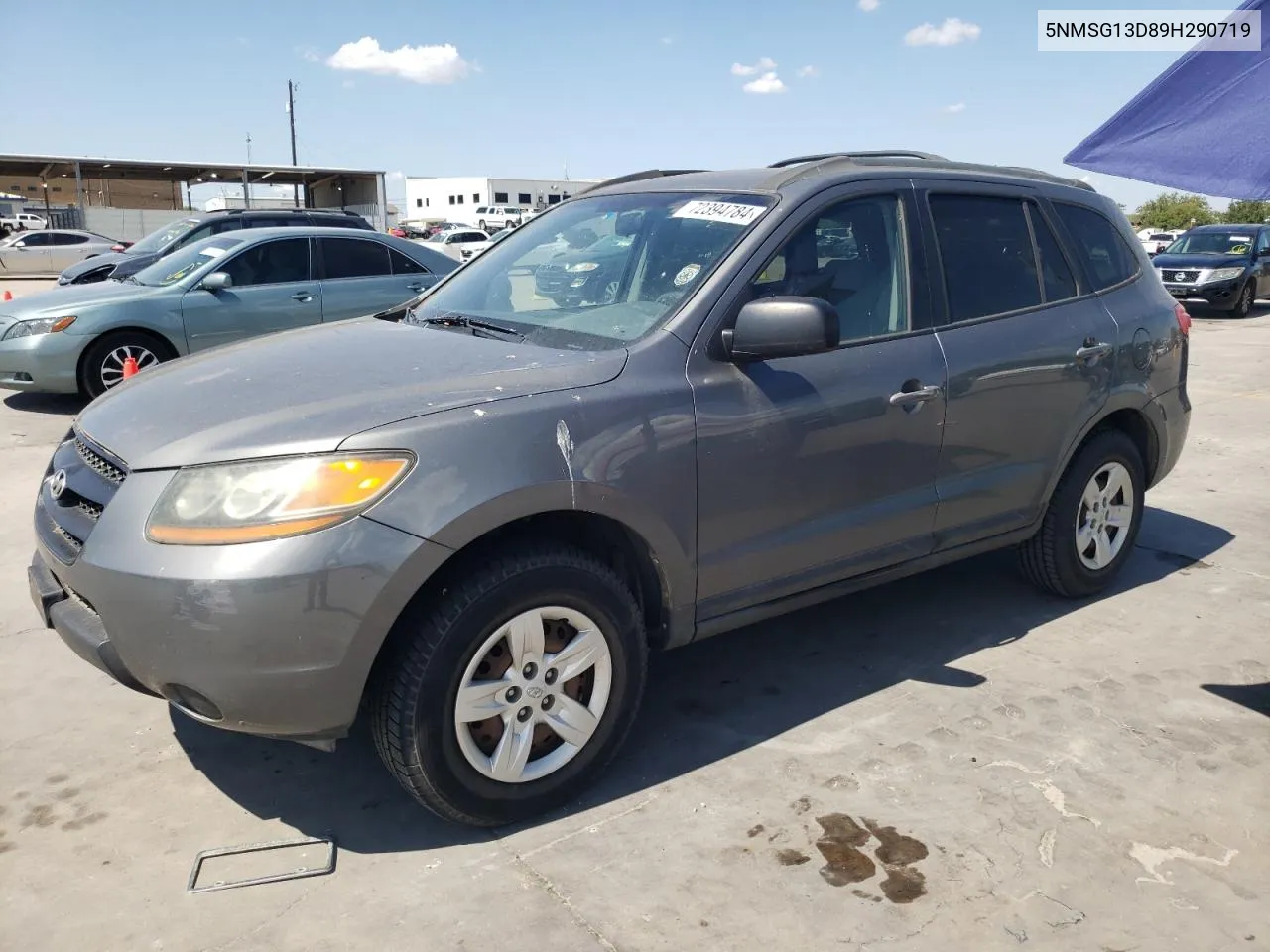 2009 Hyundai Santa Fe Gls VIN: 5NMSG13D89H290719 Lot: 72394784