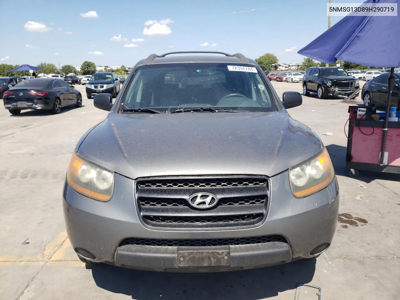 2009 Hyundai Santa Fe Gls VIN: 5NMSG13D89H290719 Lot: 72394784