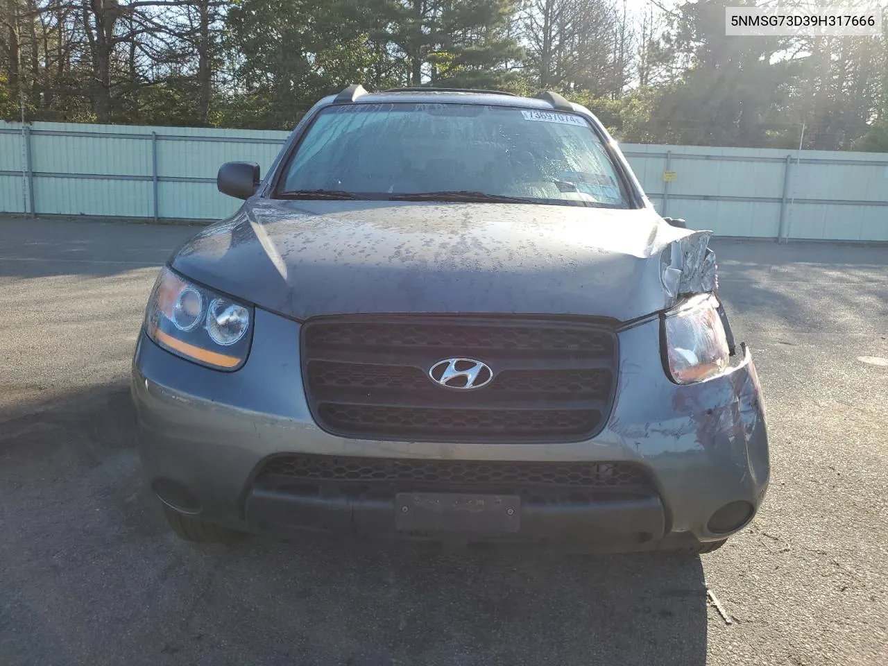 5NMSG73D39H317666 2009 Hyundai Santa Fe Gls