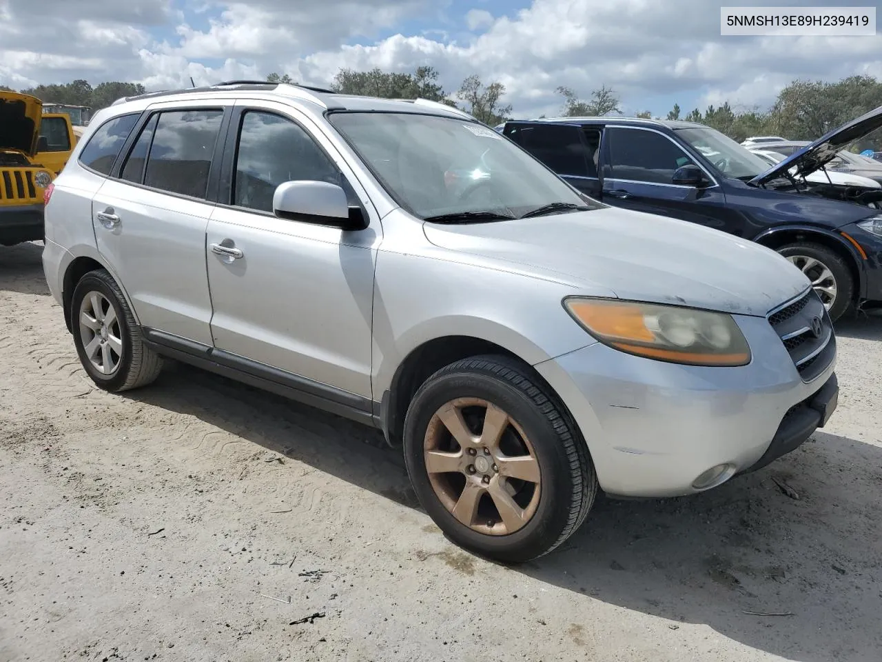 2009 Hyundai Santa Fe Se VIN: 5NMSH13E89H239419 Lot: 77276434