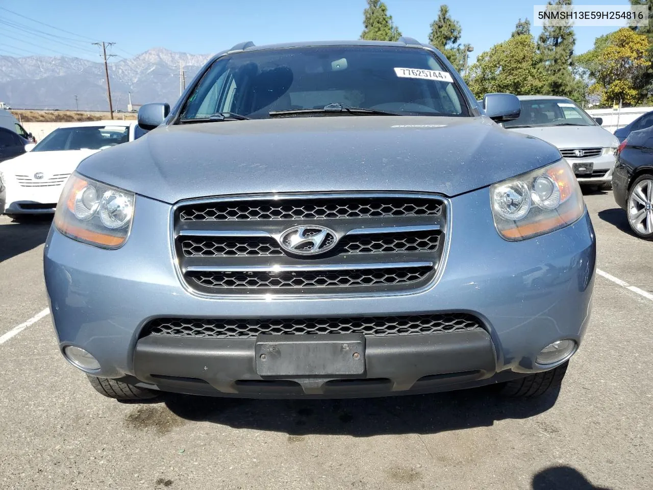 2009 Hyundai Santa Fe Se VIN: 5NMSH13E59H254816 Lot: 77625744