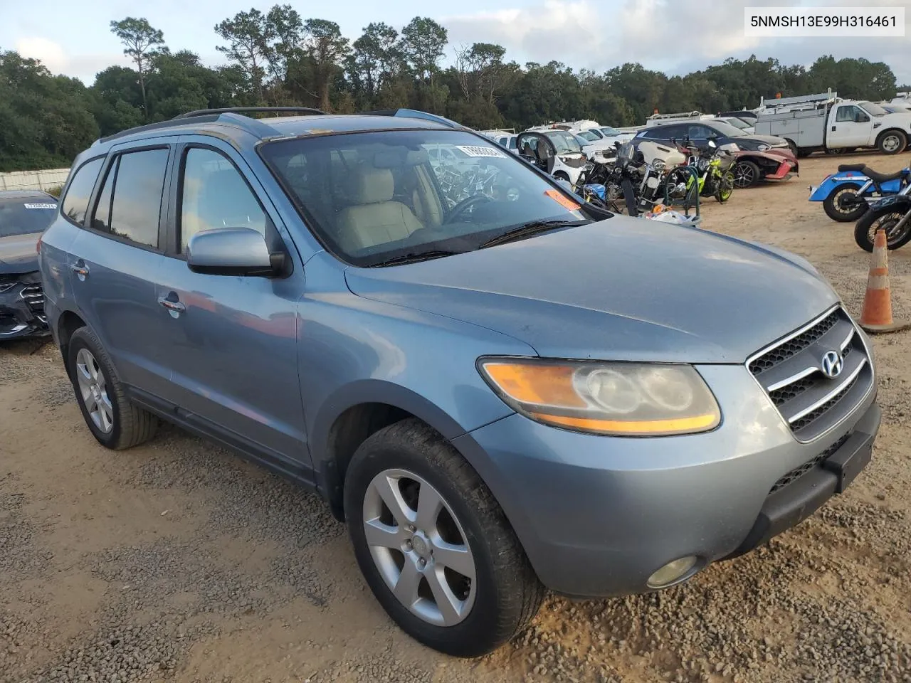 2009 Hyundai Santa Fe Se VIN: 5NMSH13E99H316461 Lot: 78683824