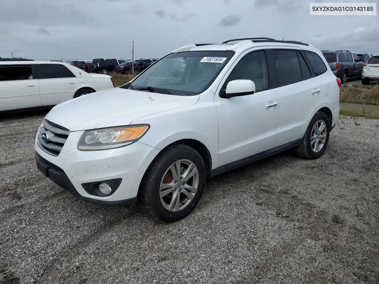 2012 Hyundai Santa Fe Limited VIN: 5XYZKDAG1CG143185 Lot: 74531934