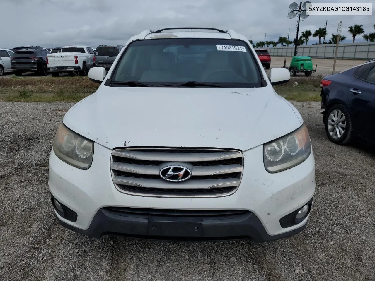 2012 Hyundai Santa Fe Limited VIN: 5XYZKDAG1CG143185 Lot: 74531934