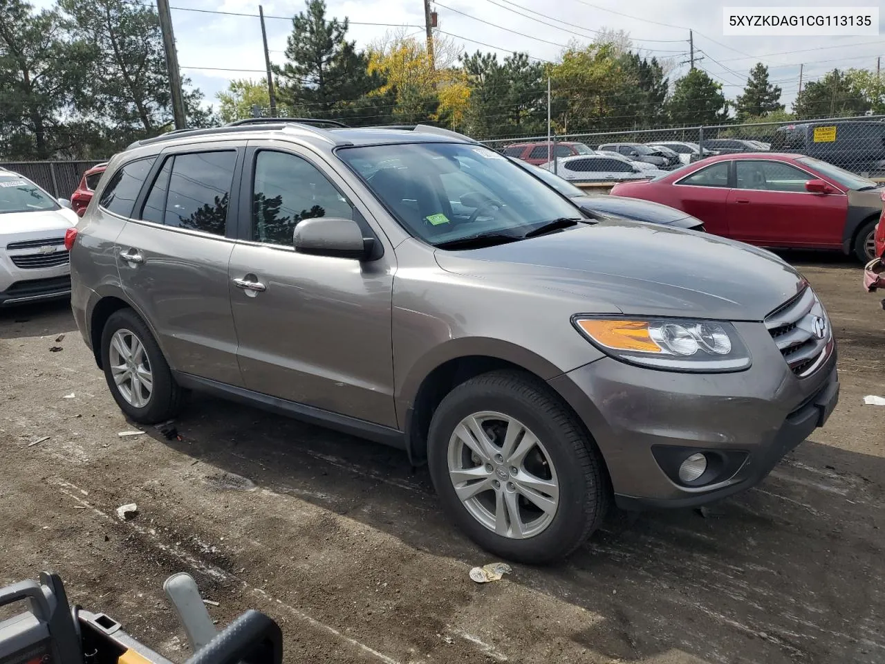 2012 Hyundai Santa Fe Limited VIN: 5XYZKDAG1CG113135 Lot: 75273574