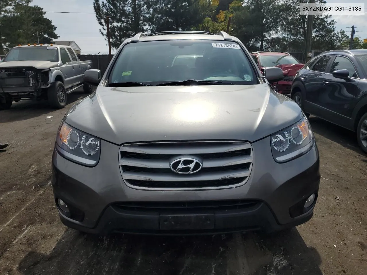 2012 Hyundai Santa Fe Limited VIN: 5XYZKDAG1CG113135 Lot: 75273574