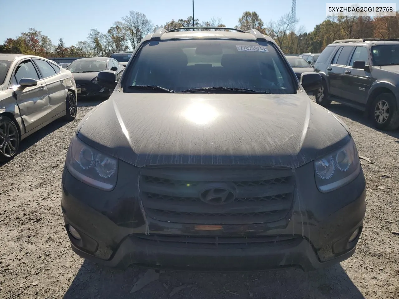 2012 Hyundai Santa Fe Se VIN: 5XYZHDAG2CG127768 Lot: 77075924