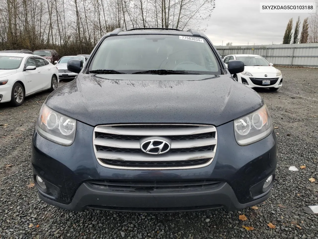 2012 Hyundai Santa Fe Limited VIN: 5XYZKDAG5CG103188 Lot: 77583034