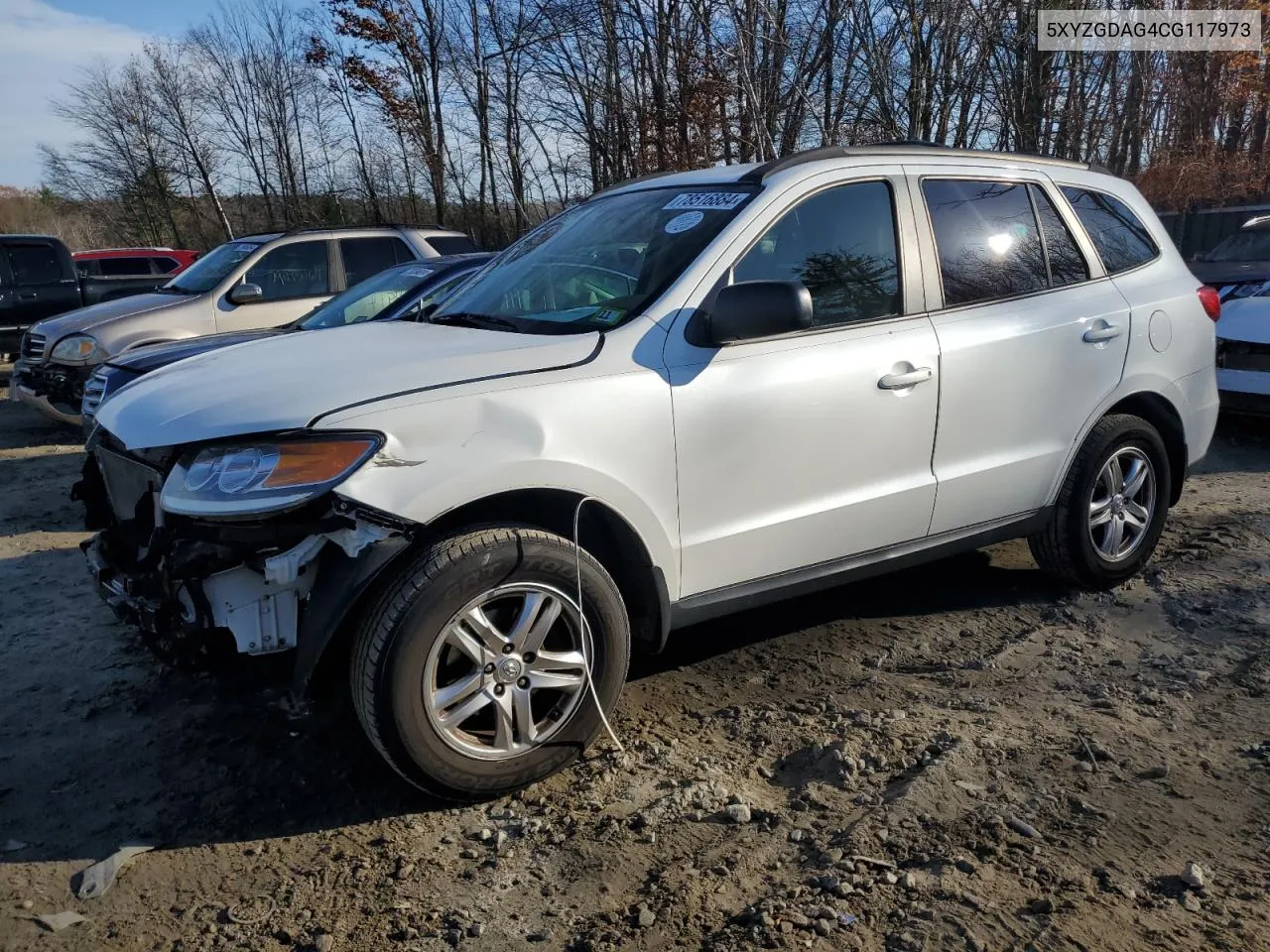 2012 Hyundai Santa Fe Gls VIN: 5XYZGDAG4CG117973 Lot: 78516884