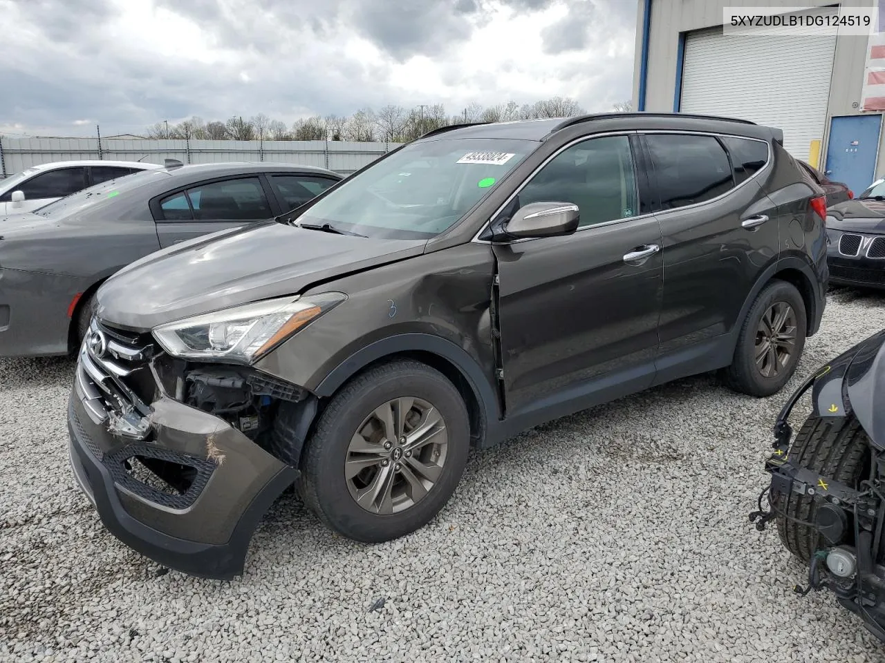 2013 Hyundai Santa Fe Sport VIN: 5XYZUDLB1DG124519 Lot: 49338024