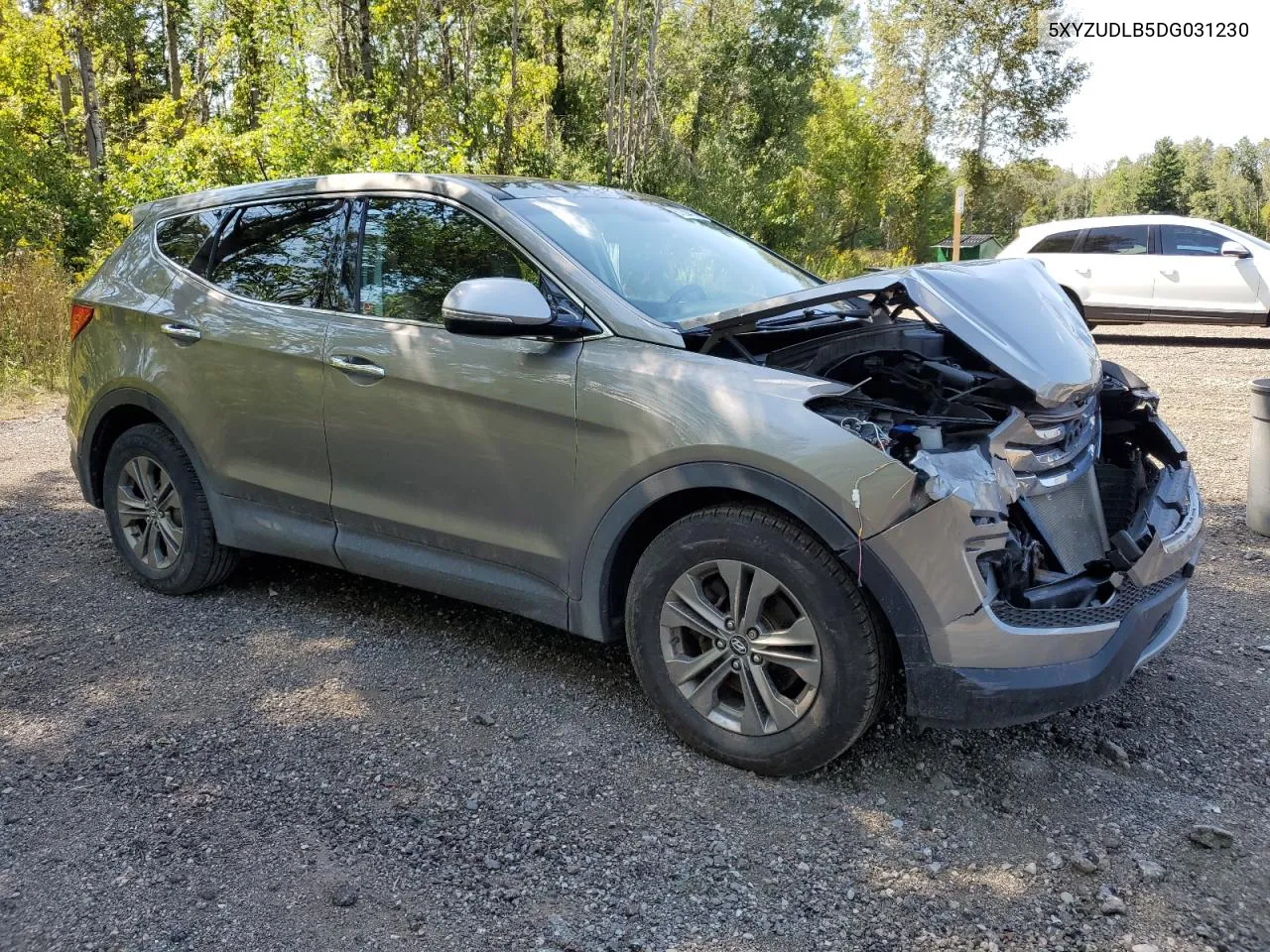 2013 Hyundai Santa Fe Sport VIN: 5XYZUDLB5DG031230 Lot: 67304324