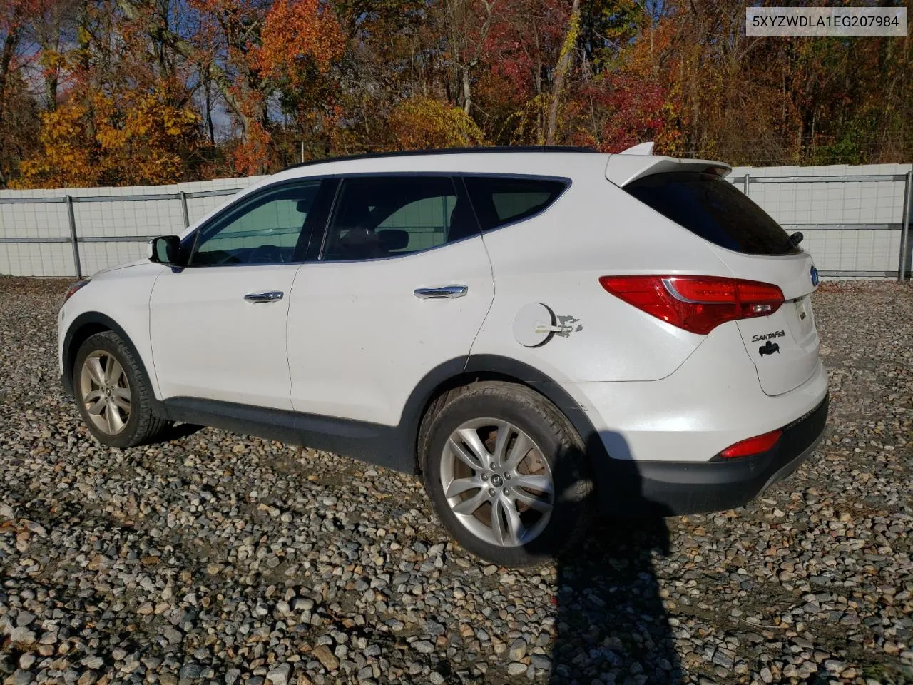 2014 Hyundai Santa Fe Sport VIN: 5XYZWDLA1EG207984 Lot: 75603294