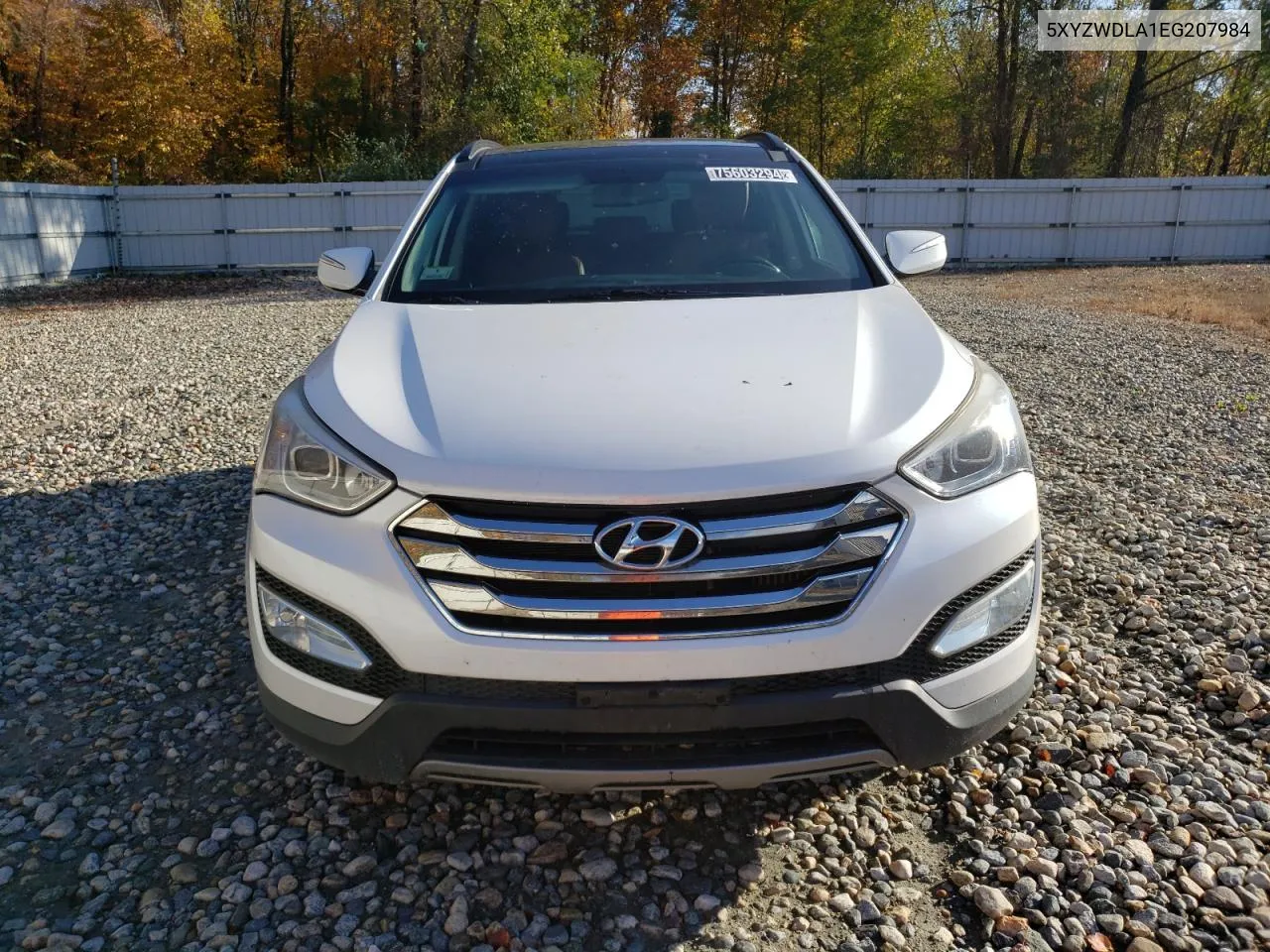 2014 Hyundai Santa Fe Sport VIN: 5XYZWDLA1EG207984 Lot: 75603294