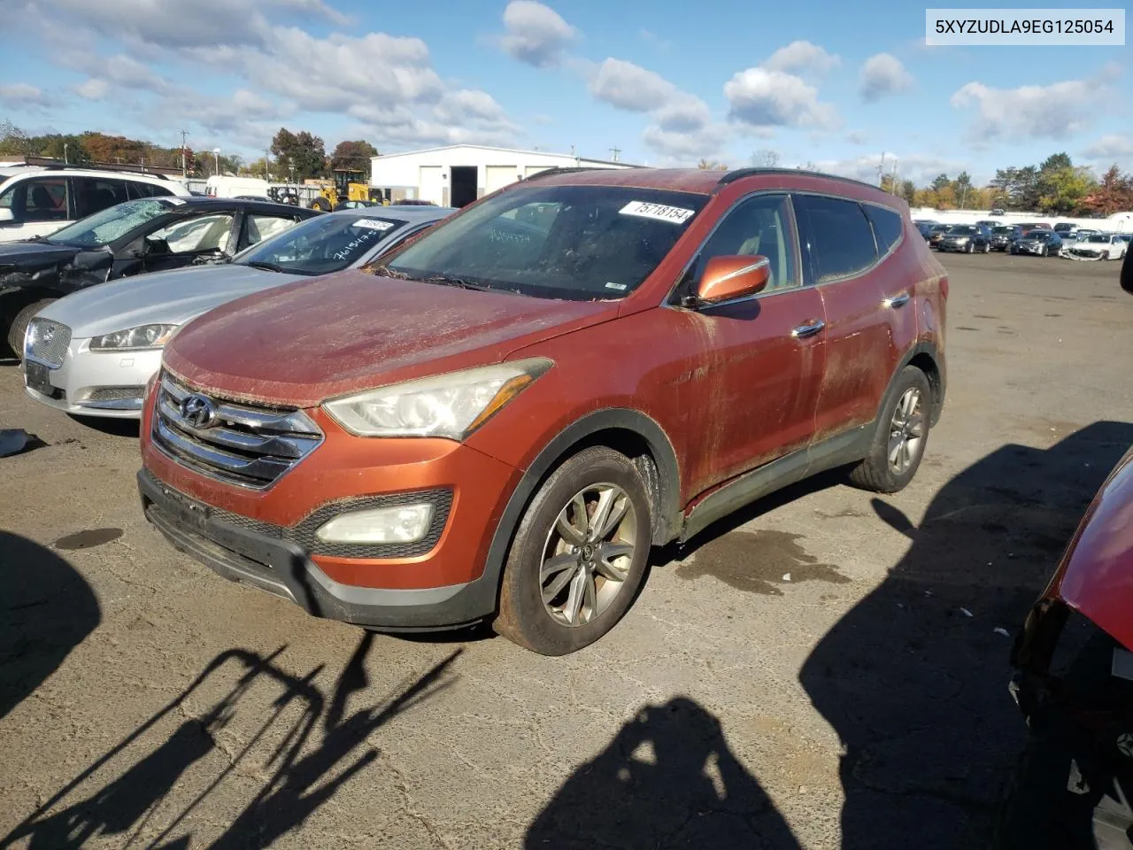 2014 Hyundai Santa Fe Sport VIN: 5XYZUDLA9EG125054 Lot: 75718154