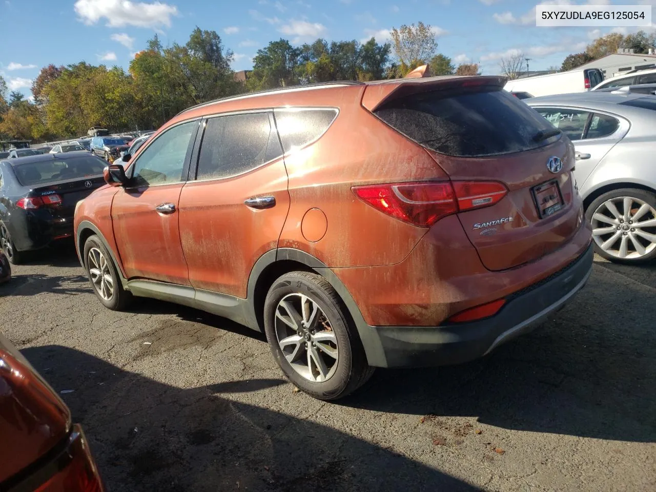 2014 Hyundai Santa Fe Sport VIN: 5XYZUDLA9EG125054 Lot: 75718154