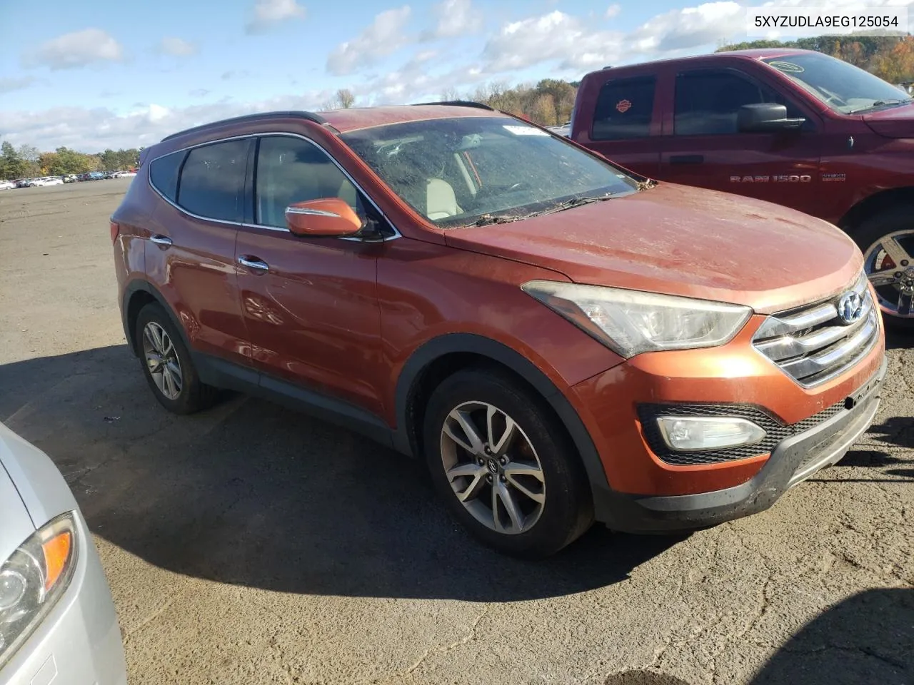 2014 Hyundai Santa Fe Sport VIN: 5XYZUDLA9EG125054 Lot: 75718154