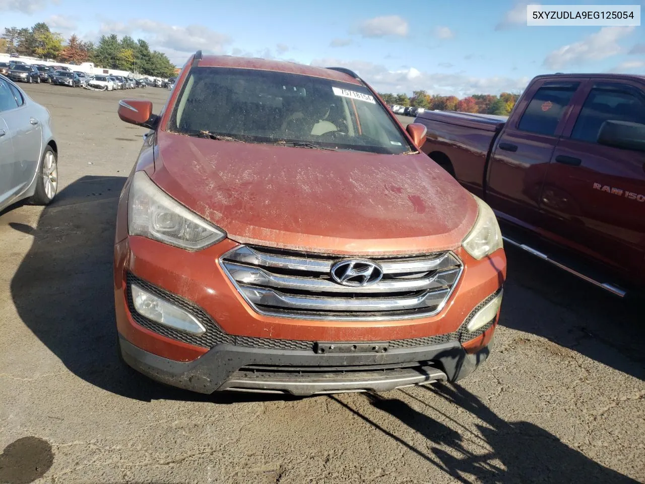 5XYZUDLA9EG125054 2014 Hyundai Santa Fe Sport