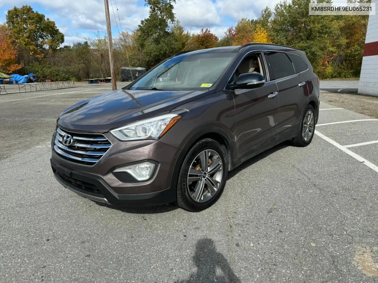 2014 Hyundai Santa Fe Gls VIN: KM8SRDHF9EU065231 Lot: 76832064