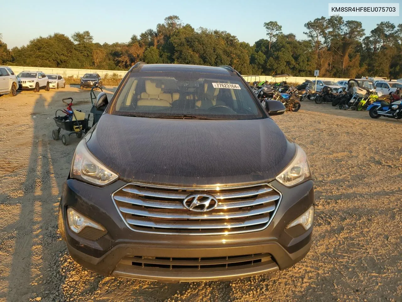 2014 Hyundai Santa Fe Gls VIN: KM8SR4HF8EU075703 Lot: 77623164