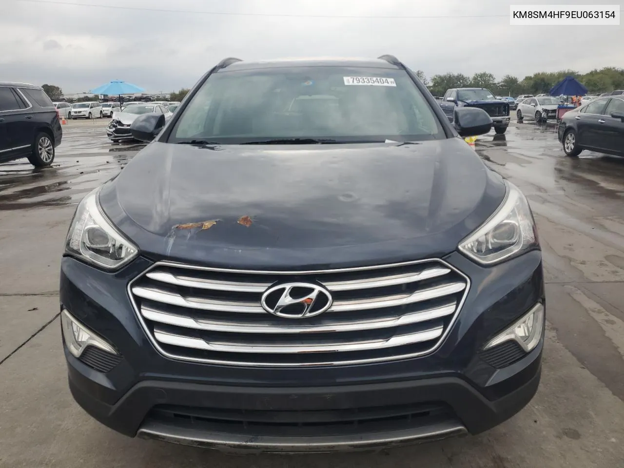 2014 Hyundai Santa Fe Gls VIN: KM8SM4HF9EU063154 Lot: 79335404