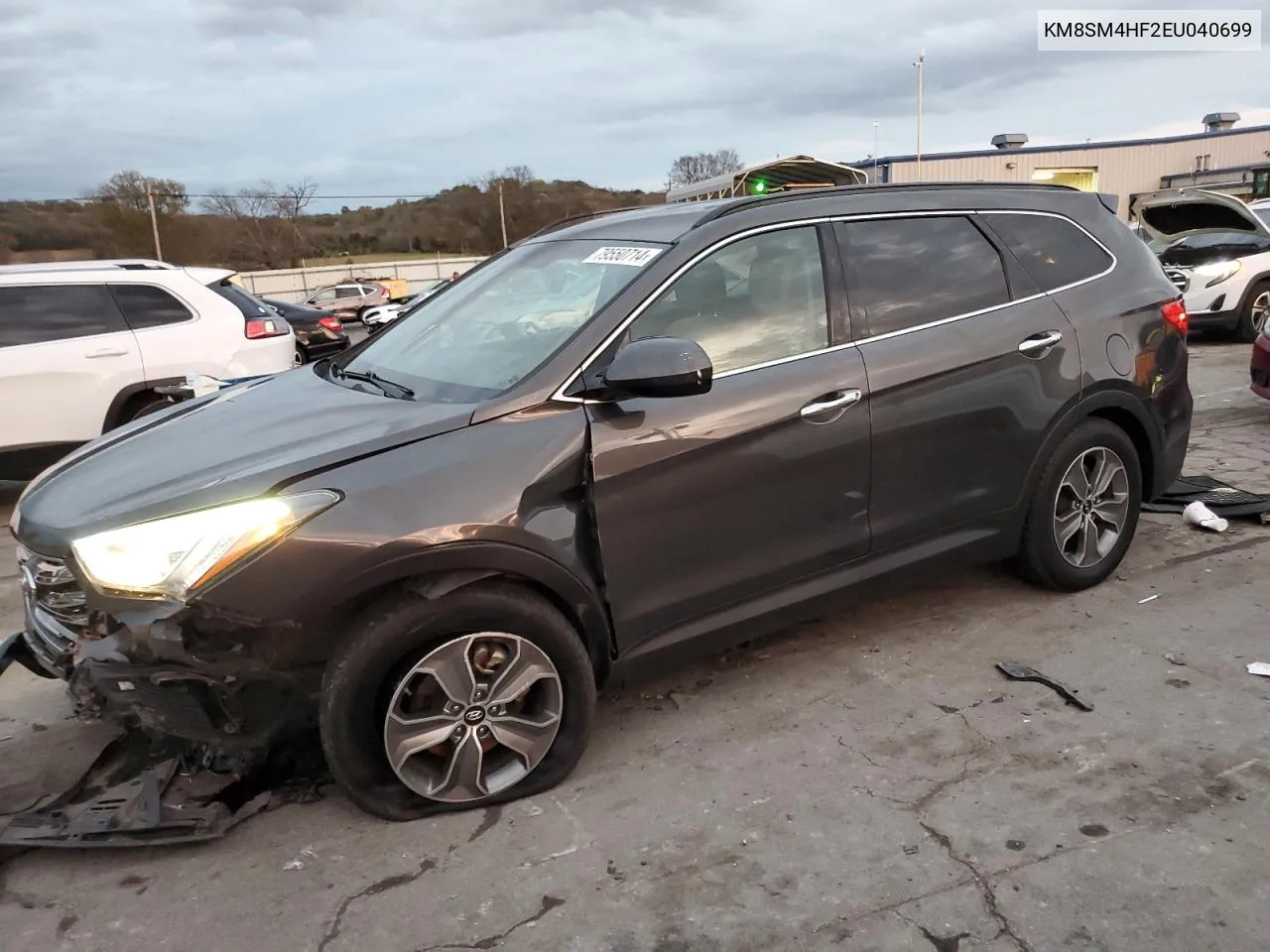 2014 Hyundai Santa Fe Gls VIN: KM8SM4HF2EU040699 Lot: 79550714