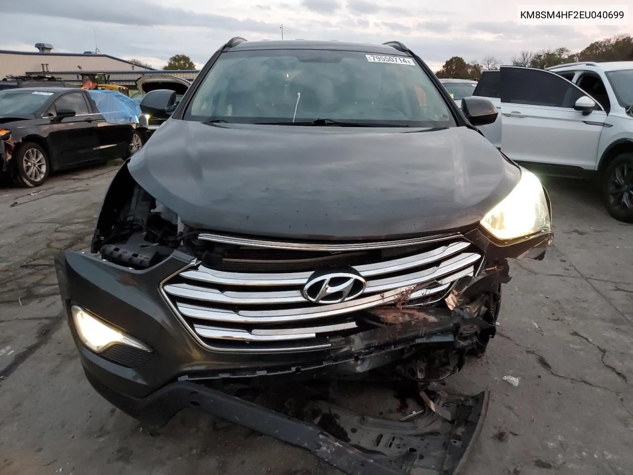 2014 Hyundai Santa Fe Gls VIN: KM8SM4HF2EU040699 Lot: 79550714