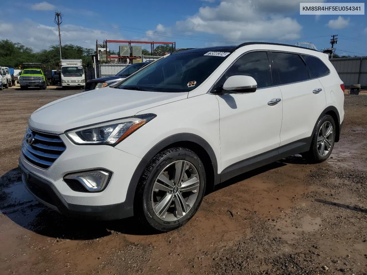 2014 Hyundai Santa Fe Gls VIN: KM8SR4HF5EU054341 Lot: 79560304