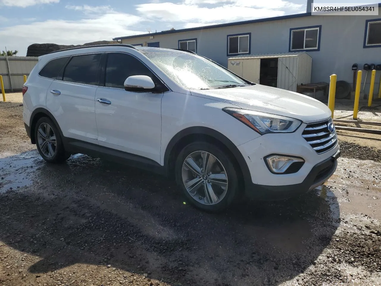 2014 Hyundai Santa Fe Gls VIN: KM8SR4HF5EU054341 Lot: 79560304