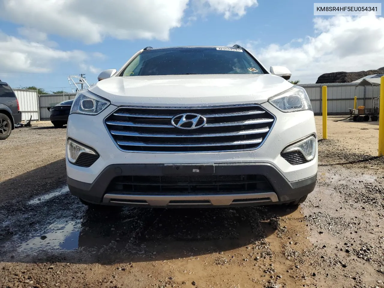 2014 Hyundai Santa Fe Gls VIN: KM8SR4HF5EU054341 Lot: 79560304