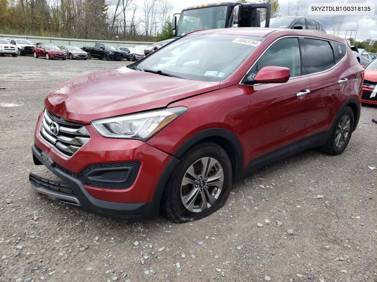 2016 Hyundai Santa Fe Sport VIN: 5XYZTDLB1GG318135 Lot: 74943754