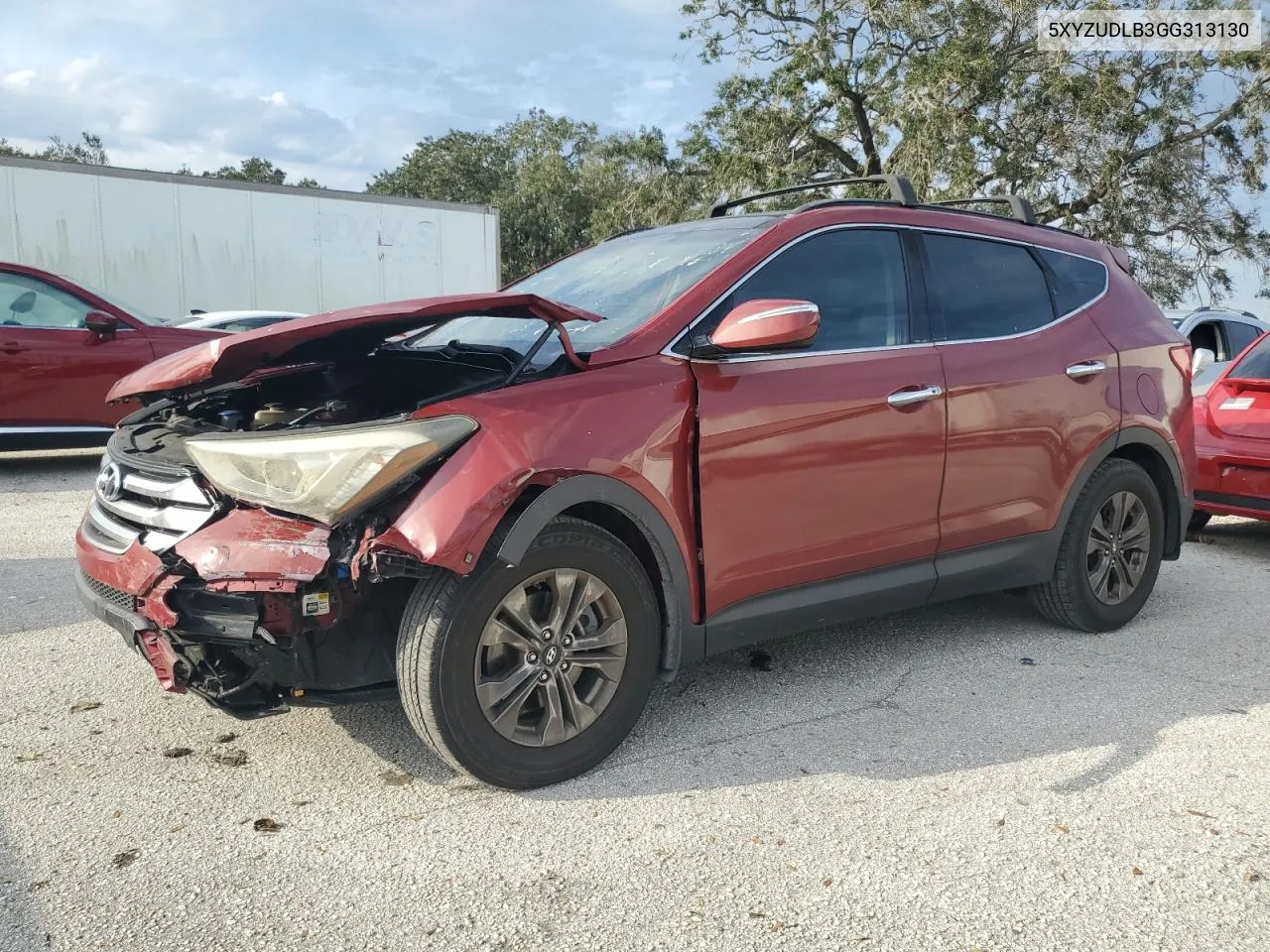 2016 Hyundai Santa Fe Sport VIN: 5XYZUDLB3GG313130 Lot: 75666204