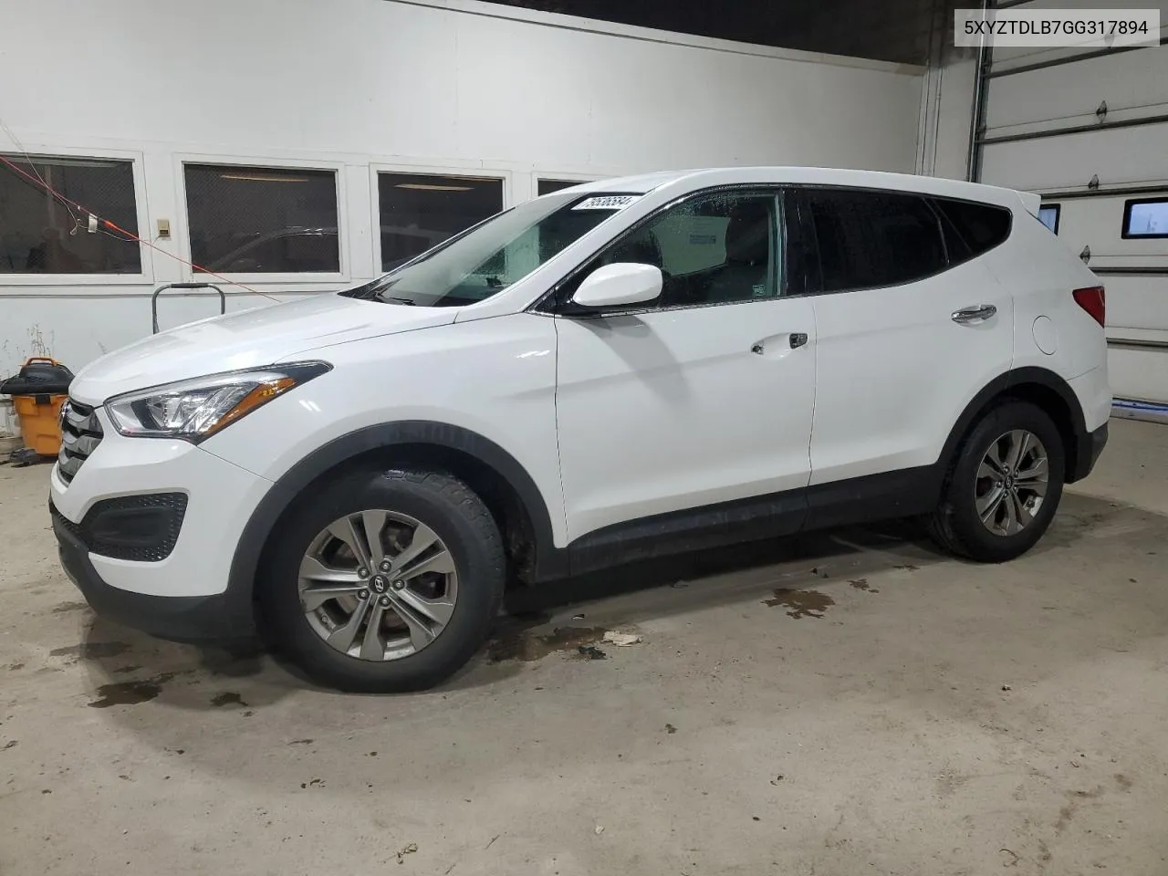 2016 Hyundai Santa Fe Sport VIN: 5XYZTDLB7GG317894 Lot: 79536584