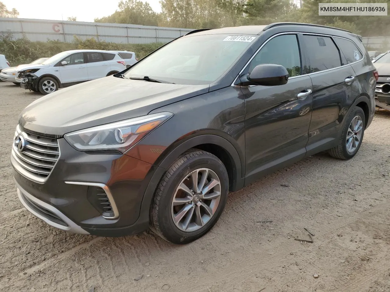 2017 Hyundai Santa Fe Se VIN: KM8SM4HF1HU186936 Lot: 70811524