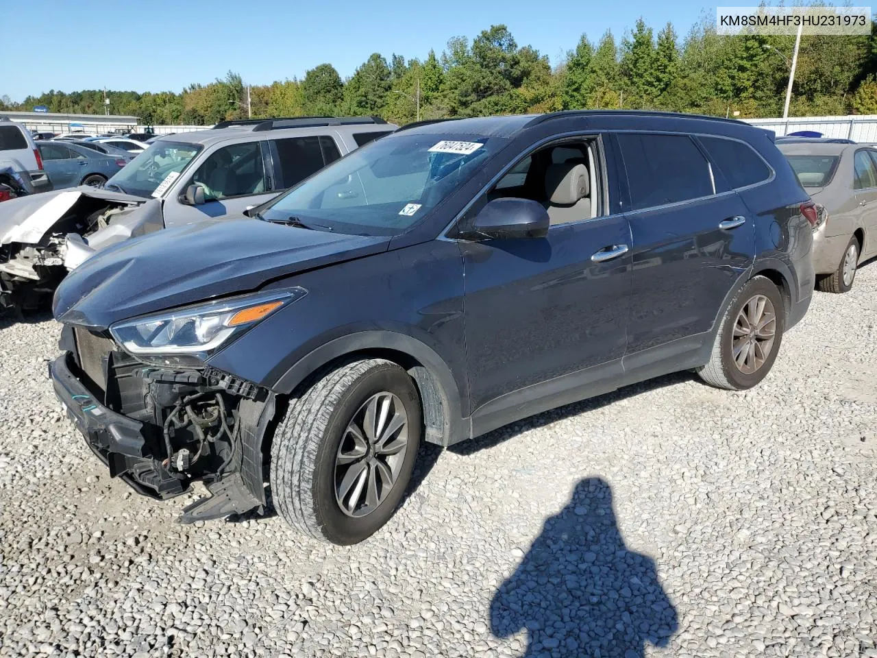 2017 Hyundai Santa Fe Se VIN: KM8SM4HF3HU231973 Lot: 76047524